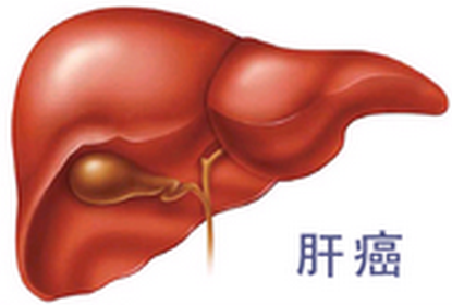 多吉美的药物分子靶向
