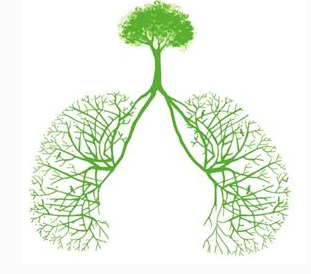 阿法替尼显示肺癌脑转移患者的临床效益