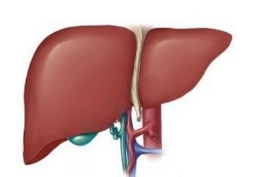 多吉美用于晚期肝癌的研究方案