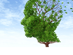 回收药物英利达有助于打击几种类型的癌症