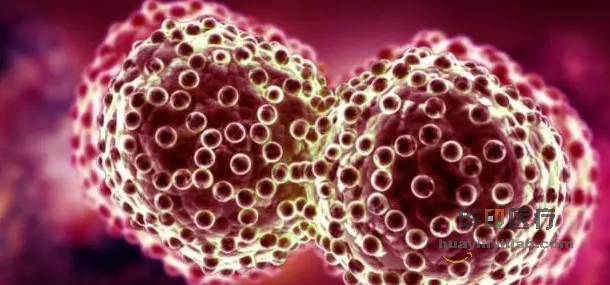 帕唑帕尼还是舒尼替尼？