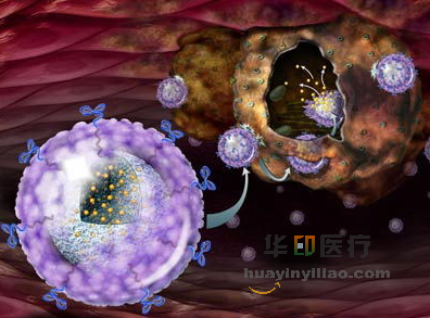 凯美纳国产易瑞沙