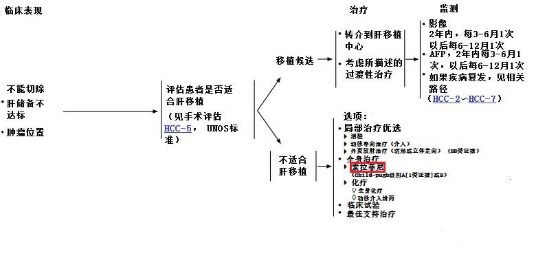 索拉非尼肝癌指南