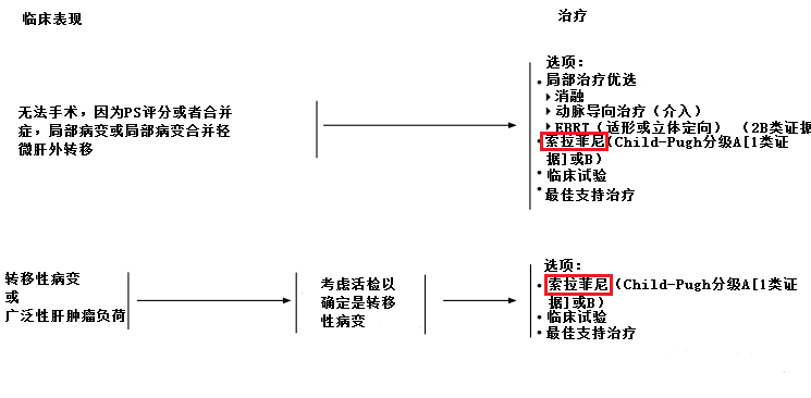 索拉非尼临床指南