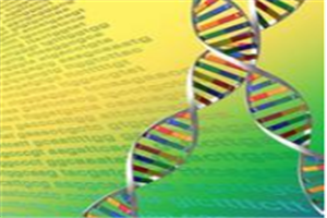 帕博西尼有哪些副作用?