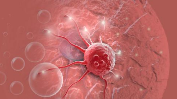 依维莫司联合来曲唑治疗乳腺癌优势明显