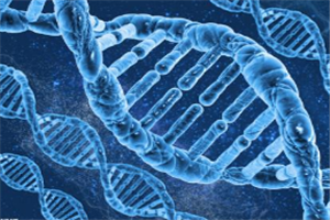 飞尼妥副作用采取什么方式缓解?一看便知