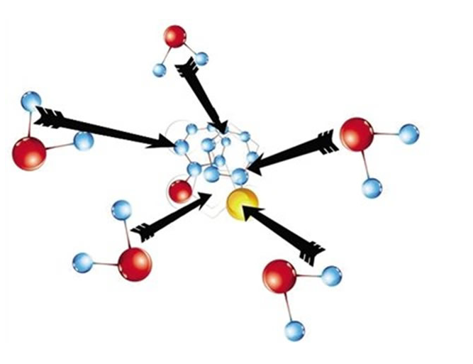 依维莫司说明书