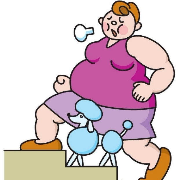 帕尼单抗的副作用