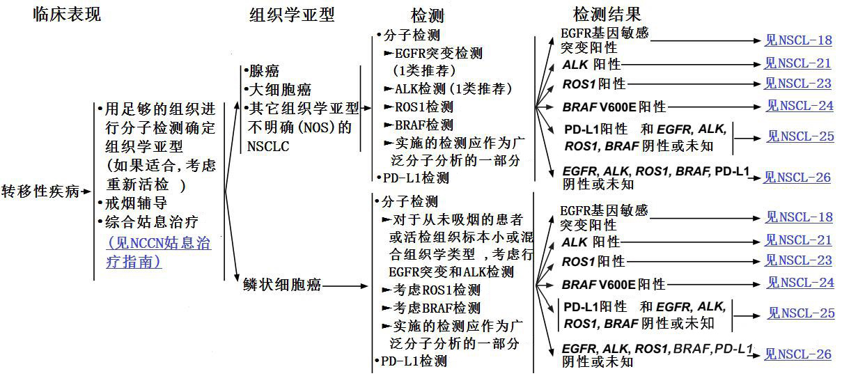 色瑞替尼-NCCN非小细胞肺癌临床实践指南2017.9