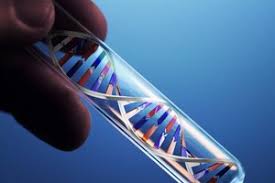 阿诺新有哪些副作用