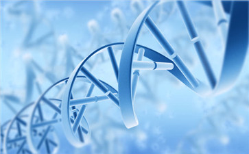 特罗凯副作用期间吃什么好