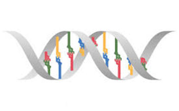 曲妥珠单抗治疗晚期乳腺癌的效果如何?