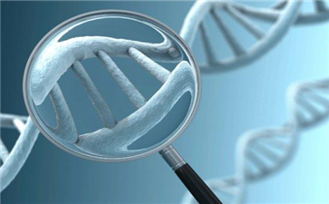 乐伐替尼副作用：甲状腺癌、肾癌、肝癌