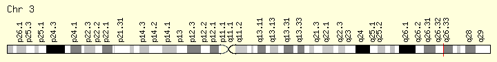 PIK3CA-gene.png