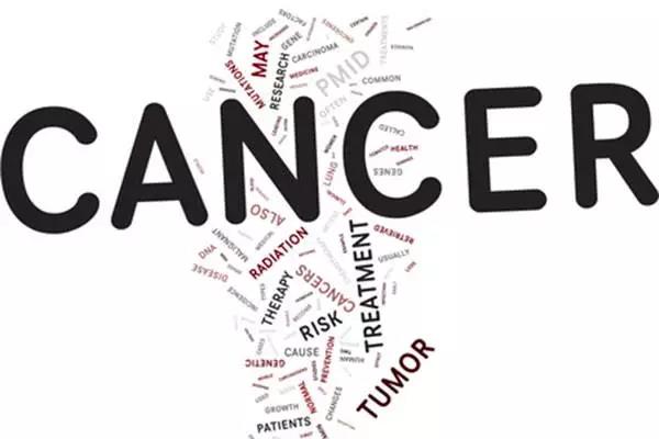 柴油升换算成吨_经费换算成收入(3)