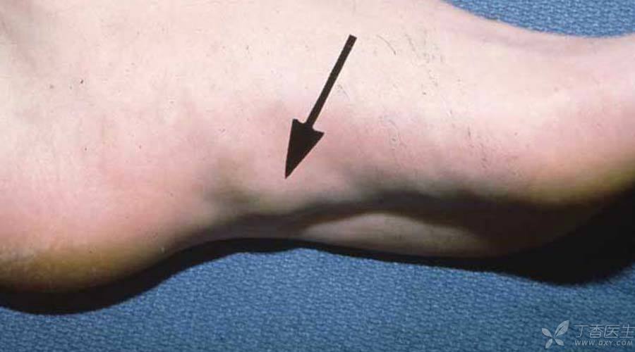 04-900.jpg 04-900.jpg