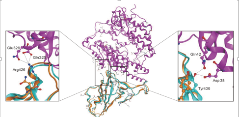 QQ图片20200131193956.png QQ图片20200131193956.png