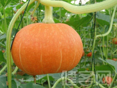 女性预防乳癌吃什么好?8大食品是天然抗癌药